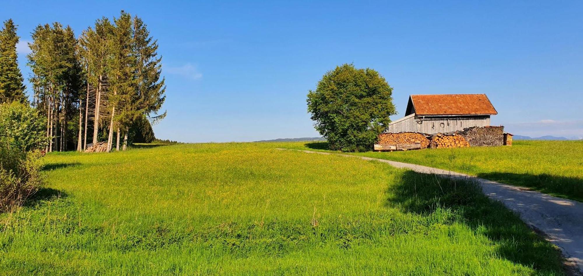 Lechbruck Am See Feriendorf Hochbergle Haus 140 Exterior foto